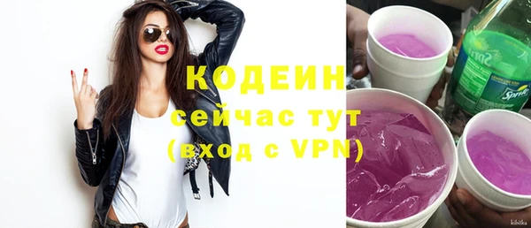 прущие грибы Медногорск