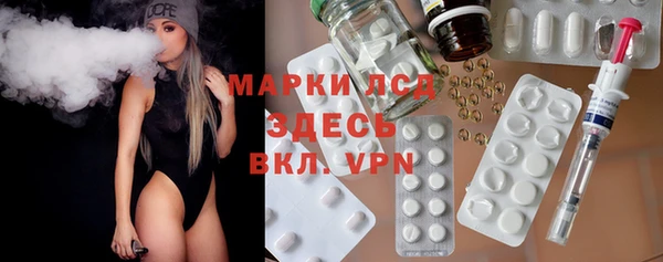 прущие грибы Медногорск