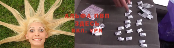 прущие грибы Медногорск