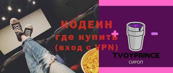 прущие грибы Медногорск