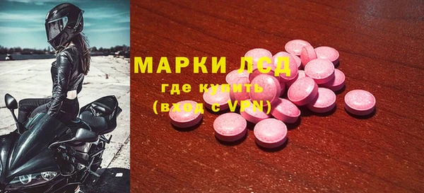 прущие грибы Медногорск