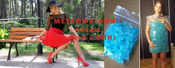 прущие грибы Медногорск