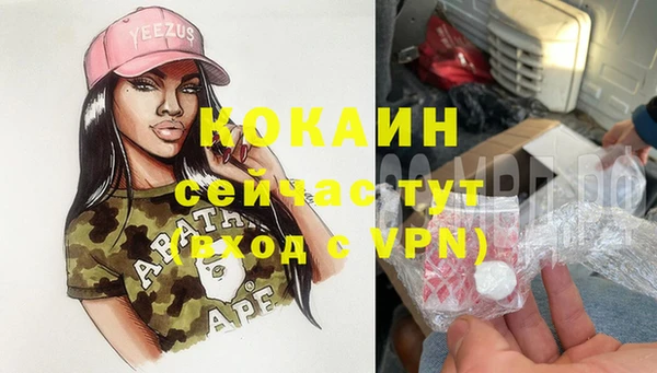 прущие грибы Медногорск