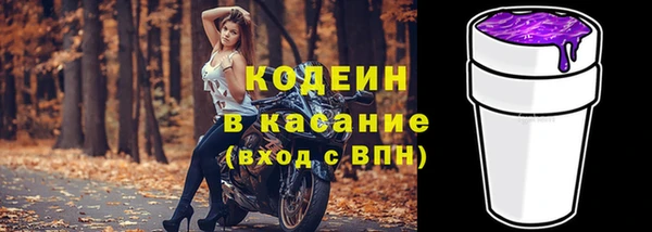 прущие грибы Медногорск