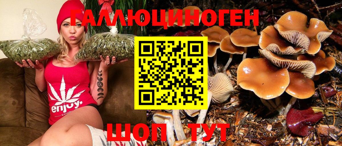 Галлюциногенные грибы GOLDEN TEACHER  Еманжелинск 