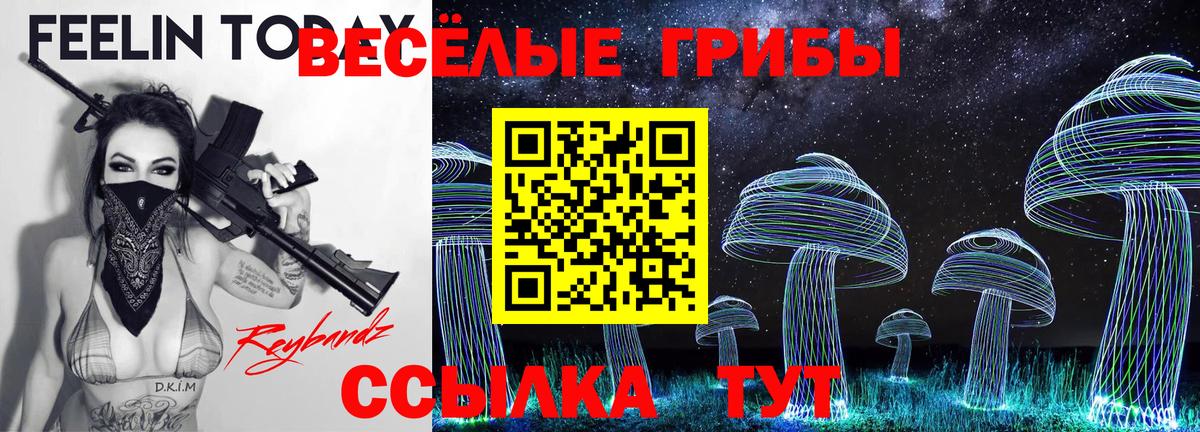 Псилоцибиновые грибы прущие грибы  Вход с VPN  Еманжелинск 
